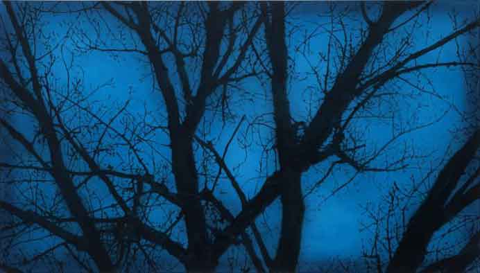  Xie Fan  谢帆 -  Blue . Tree  -  Oil Painting on Silk  2012 