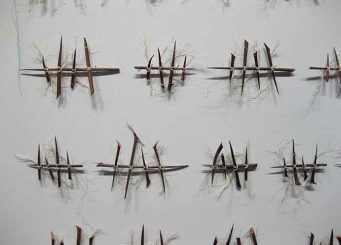 Cui Fei  崔斐 -  Not Yet Titled  -  Installation, thorns, twine, dimensions variable  -  2009  