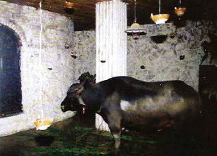 Ren Qian 任前 - The Land of the Bewitching Voice - Sound installation - 2002 Ren Qian 任前 - The Land of the Bewitching Voice - Sound installation - 2002