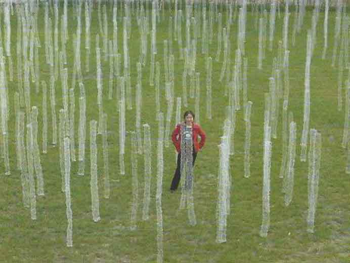 Shi Jindian 师进滇 - White Woods - Stainless steel wire - 2004 Shi Jindian 师进滇 - White Woods - Stainless steel wire - 2004