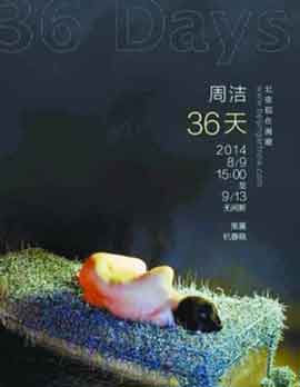 Zhou Jie  周洁  -  36 Days  36 天  -  09.08 13.09 2014  Beijing Art Now Gallery  Beijing  -  poster 