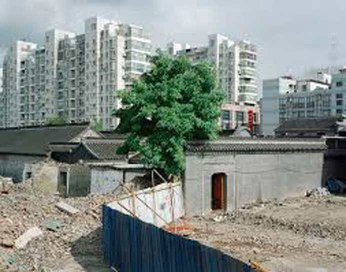 Chen Xiaofeng  陈晓峰   -  Placing Plants 3  -  Photography