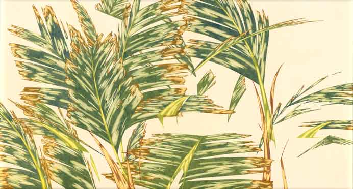 Huang Yu-Hao 黄昱昊 - Ravenala - Painting Huang Yu-Hao 黄昱昊 - Ravenala - Painting