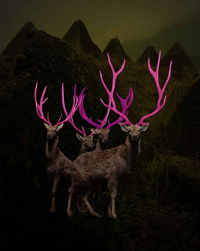 Li Zhaohui 李朝晖 - Photography Li Zhaohui 李朝晖 - Photography