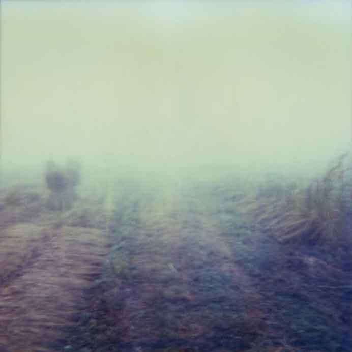 Shen Yi Elsie 沈怡 Expired Landscape Shen Yi Elsie 沈怡- Expired Landscape