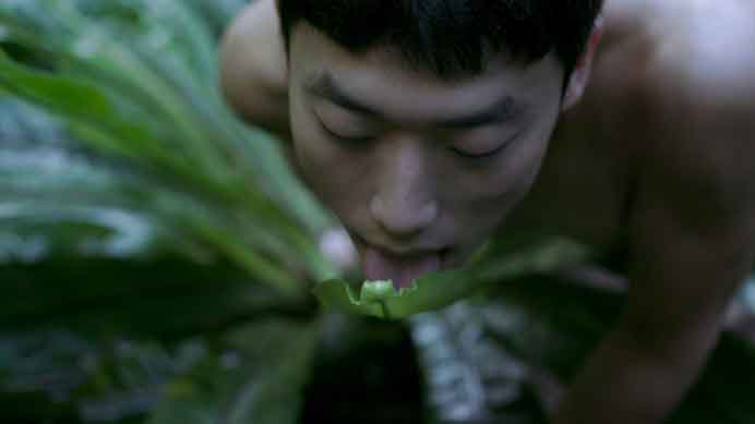 Zheng Bo 郑波 - Pteridophilia - Performance - 2016 Zheng Bo 郑波 - Pteridophilia - Performance - 2016