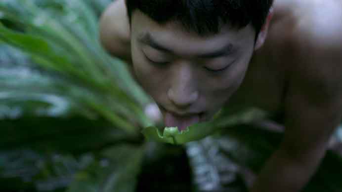 Zheng Bo  郑波  -  Pteridophilia  -  Performance  -  2016