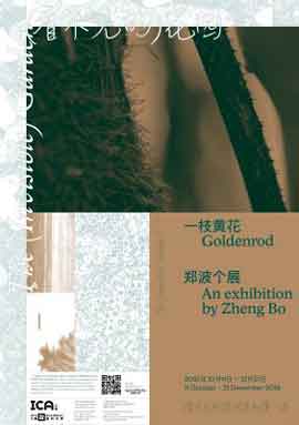 一枝黄花  Goldenrod  -  郑波个展  An Exhibition by Zheng Bo  -  11.10 21.12 2019  NYU Shanghai Art Gallery  Shanghai  -  poster