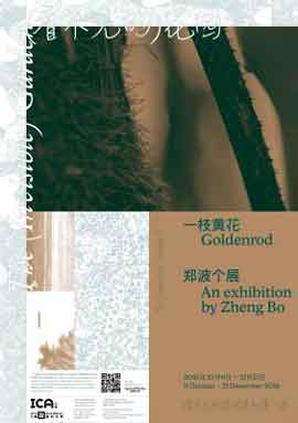 一枝黄花 Goldenrod - 郑波个展 An Exhibition by Zheng Bo - 11.10 21.12 2019 NYU Shanghai Art Gallery Shanghai - poster 一枝黄花 Goldenrod - 郑波个展 An Exhibition by Zheng Bo - 11.10 21.12 2019 NYU Shanghai Art Gallery Shanghai - poster