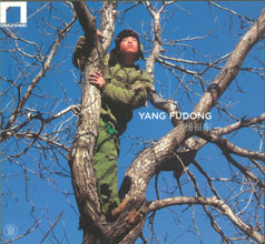  Yang Fudong