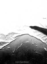 © Gao Xingjian © Gao Xingjian