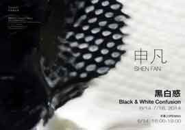Shen Fan 申凡 - Black & White Confusion 14.06 18.07 2014  ShanghART  Beijing