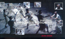 Flying Bird is Motionless-
