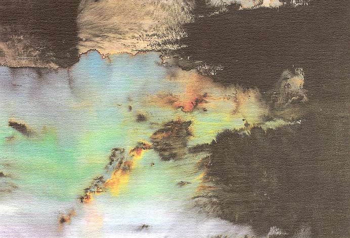 Angélique Shidi  诗迪 