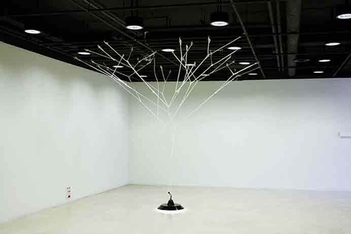 Gao Shihe  高士贺  -  Arbre Fibonacci  -  Fil Nylon, lampe  -  400 x 400 x 360 cm  -  Villa Arson  Nice  -  2009