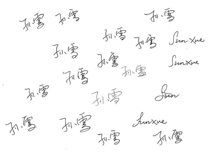 Sun Xue  孙雪 - signatures