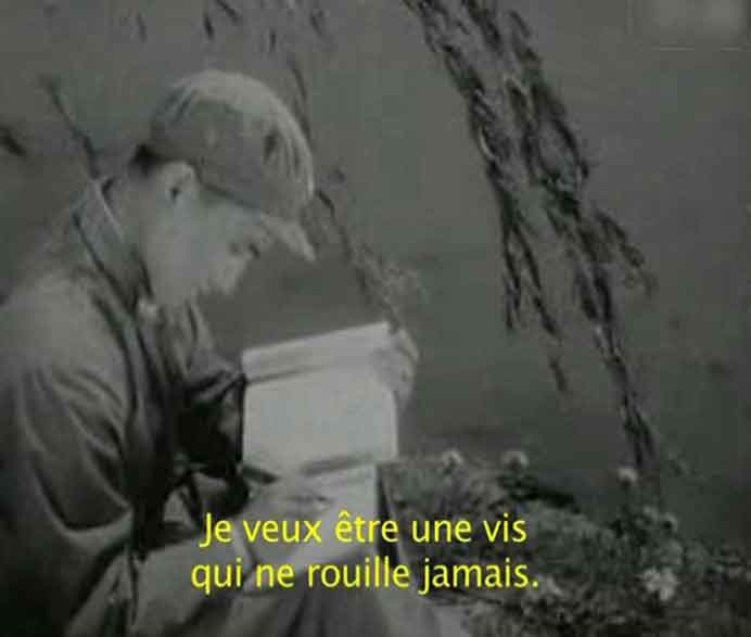  Jing Wang王靜 - Je ne suis pas un clou. 