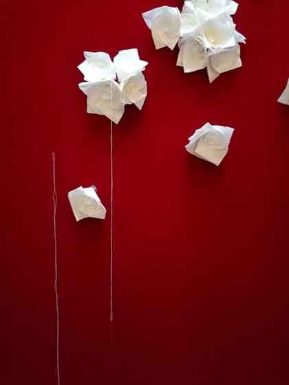  Jing Wang -  Installation