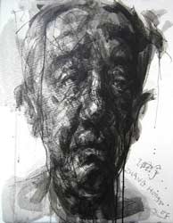 Zhang Hongyu  张宏宇