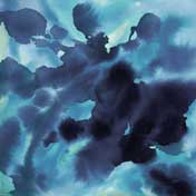 Zhongli Jin 金中利 - Papillon aquatique - 2009