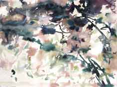 Zhongli Jin 金中利 - Croisement et diffusion - 2009