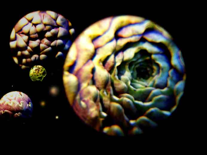   ©  Chen Meitsen 陳美岑