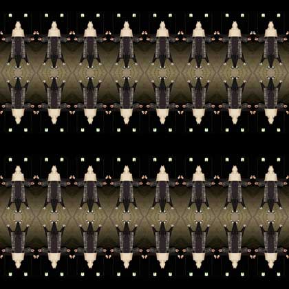 Gao Ling  高灵 - sleepwalk : who ran into ourdreams 2009 Photography