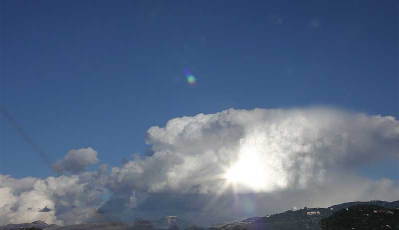  Hsinli Wang  王馨梨 