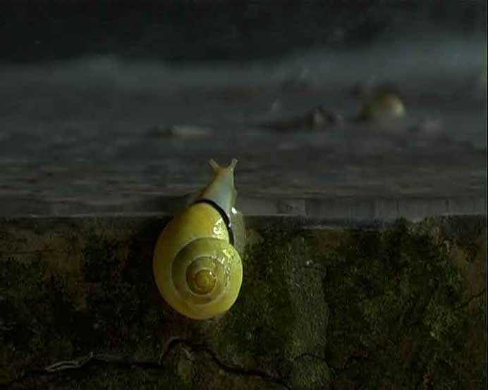  Wen-Yang Liu 劉紋羊 - Yellow sprite  黃精靈  Projection Vidéo couleur	