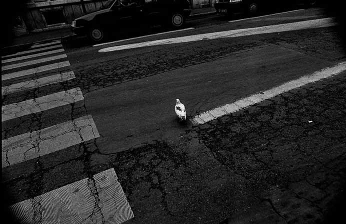 Wen-Yang Liu  劉紋羊 - La lune dans l'eau 水中月 - tirage argentique en n/b