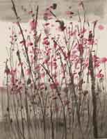 Sun Weishiuan  孙维瑄