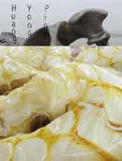 Huang Yong Ping - Catalogue lES MUES - 2014