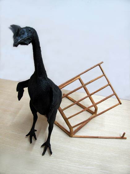  Li Zifeng  李子沣