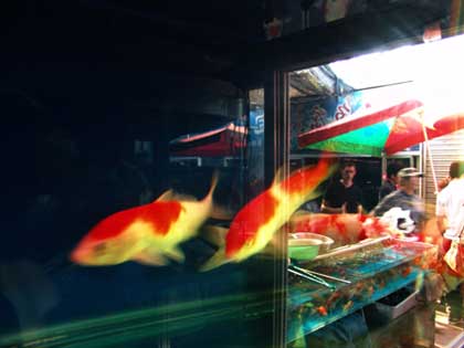 ©  Pang Bo - Reflets