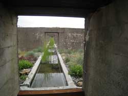 © Gilles Clément - Le jardin des orpins et des graminées