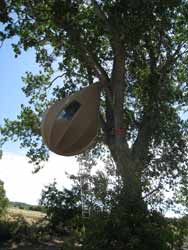 © Dré Wapenaar - treetent © Dré Wapenaar - treetent