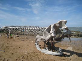 serpent d'oc�an : Huang Yong Ping - cr�ation p�renne estuaire 2012 - photo Daniele Sicard