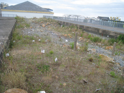 © Gilles Clément - le jardin des étiquettes