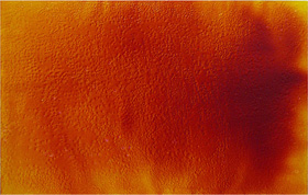  � Philippe Caurant : sans titre, huile et r�sine sur toile, 50 x 65cm