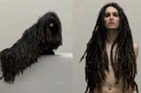 Love in the hair  - � Sabine Pigalle