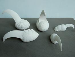 � Sun Xue -  griffes bllanches